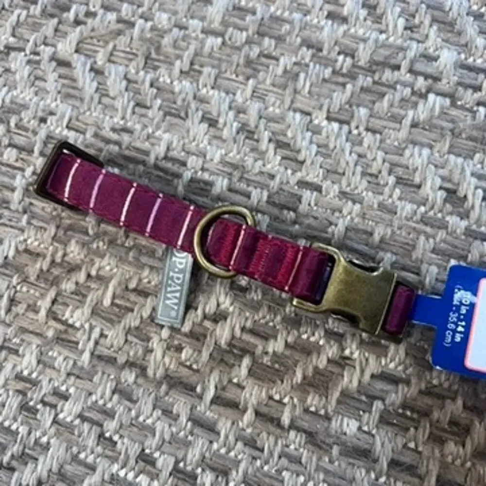 Top Paw Dog Collar Sz small